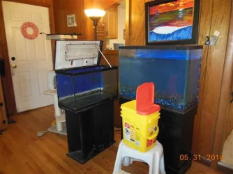 new sink 014 (Small).webp