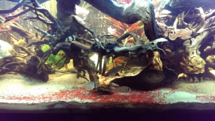 IMAG0114.webp IMAG0114.webp