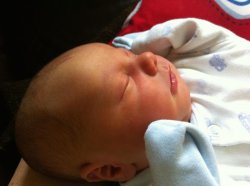 IMG_0610.JPG IMG_0610.JPG