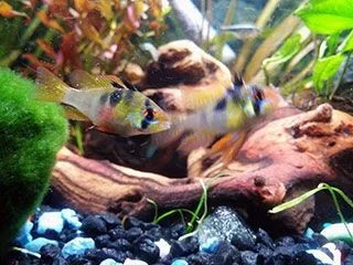 20140802_213328.webp