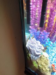 20140730_102531.jpg