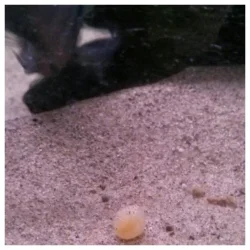 2014-08-10_22.04.00.webp