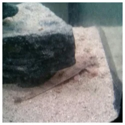 2014-08-10_22.03.10.webp