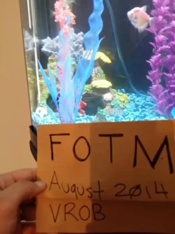 20140812_165427.webp 20140812_165427.webp