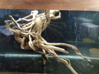 wood 2.jpg wood 2.jpg