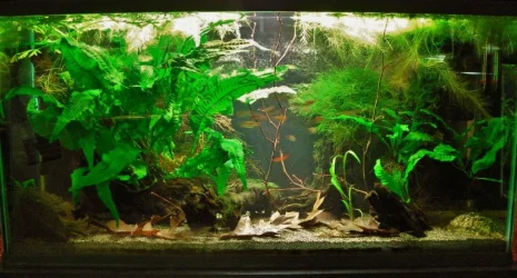 33g Aug 25-14.webp
