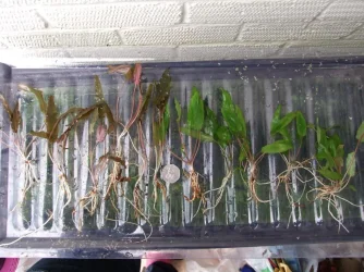 DSCF8782.webp