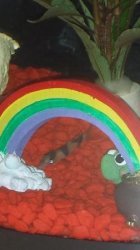 20140826_183338.jpg