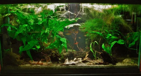 33g Aug 25-14.webp