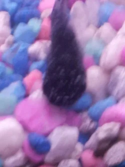 10637830_914571751905927_1123287727_n.webp