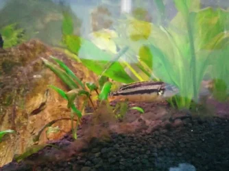 20140912_102140_HDR-800x600.webp