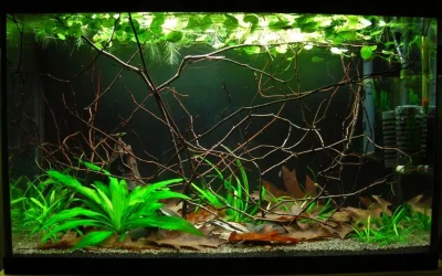 29g Sep 22-14.webp