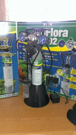 ProFlora.webp