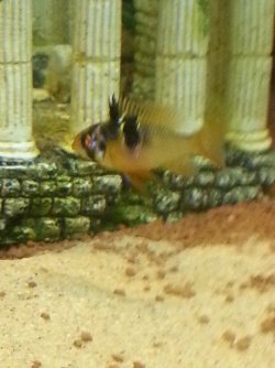 20140923_175026.jpg