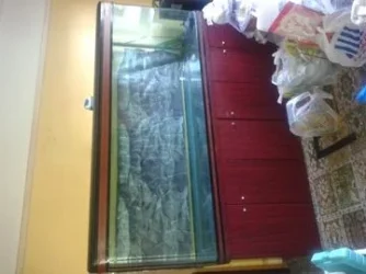 5072600_b_828ec645db84fcdf.webp