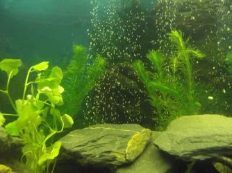 DSCF2491 (Medium).webp