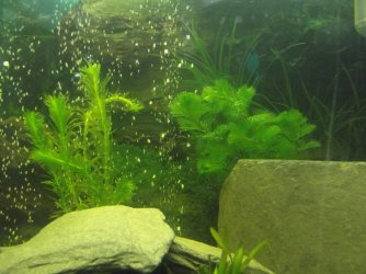 DSCF2492 (Medium).JPG