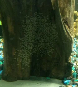 2014-10-09 18.17.16-1.webp