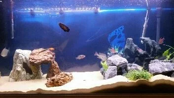 2014-10-24 08.03.09.webp