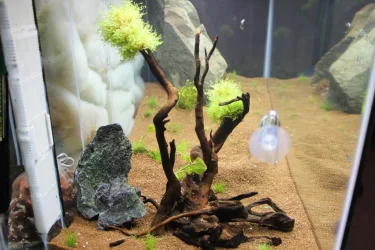 IMG_2835.webp