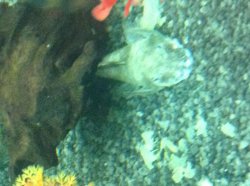 IMG_0039.JPG IMG_0039.JPG
