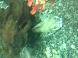 IMG_0040.JPG IMG_0040.JPG