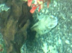 IMG_0041.JPG IMG_0041.JPG