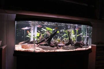 IMG_1552-2.webp
