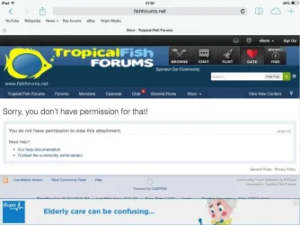image.webp