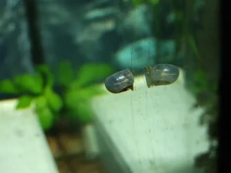 DSCF8891.webp