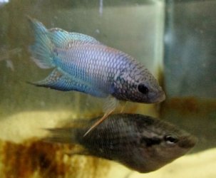 IMG_2404 (640x480).jpg