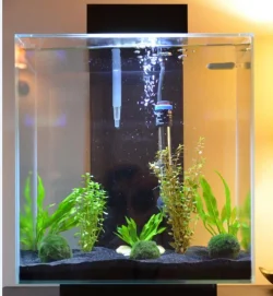 TankJanuary22015.webp TankJanuary22015.webp