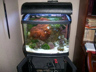 biocube.webp biocube.webp