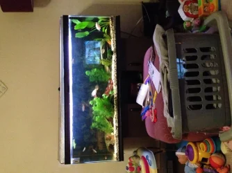 image.webp