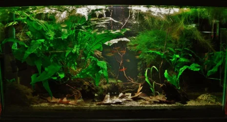 33g Aug 25-14.webp