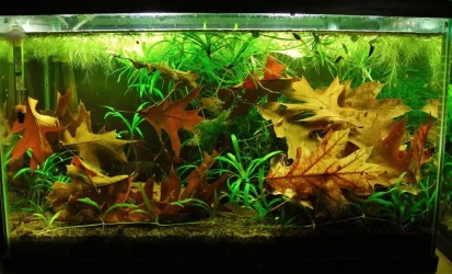 10g Aug 23-13.webp