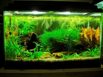 10g May 28-14.webp