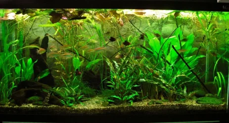 90g Feb 10-15.webp