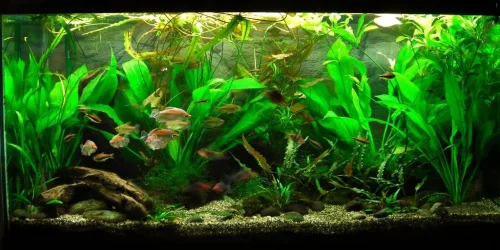 90g Oct 17-13.webp