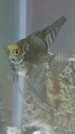 2015-02-11 09.34.22.webp