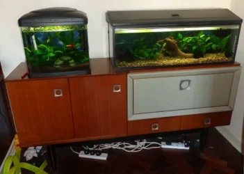 cabinet.webp cabinet.webp