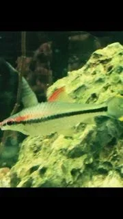 image.webp