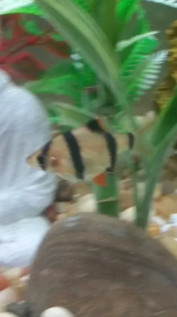2015-02-22 22.38.46.webp
