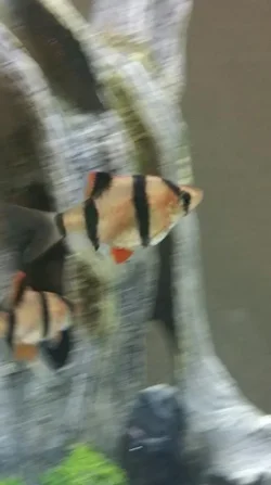 2015-02-22 22.39.11.webp