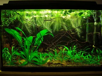 29g Feb 10-15.webp