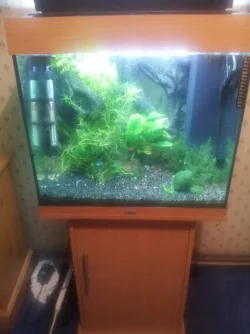 2015-02-28 19.39.24.webp