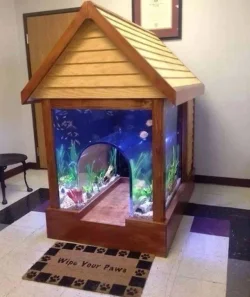 dog kennel.webp