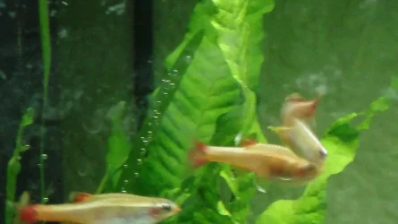 DSC00222.webp