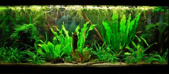 70g May 28-14 (2).webp