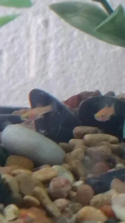 2015-03-28 15.19.03.webp